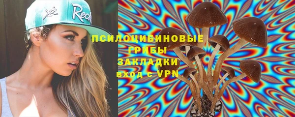 ешки Белокуриха