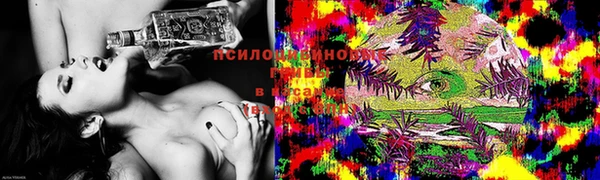 прущая мука Беломорск