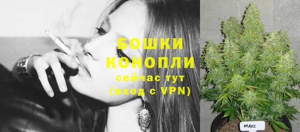 ешки Белокуриха