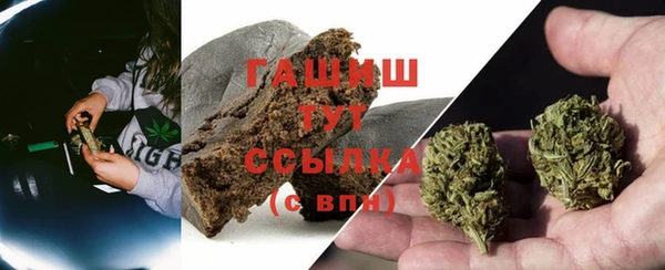 ешки Белокуриха