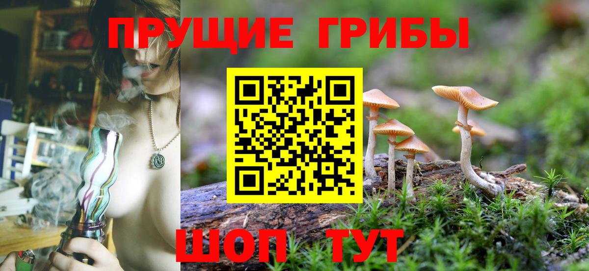 Гатчина  Галлюциногенные грибы Magic Shrooms  Вход с VPN 